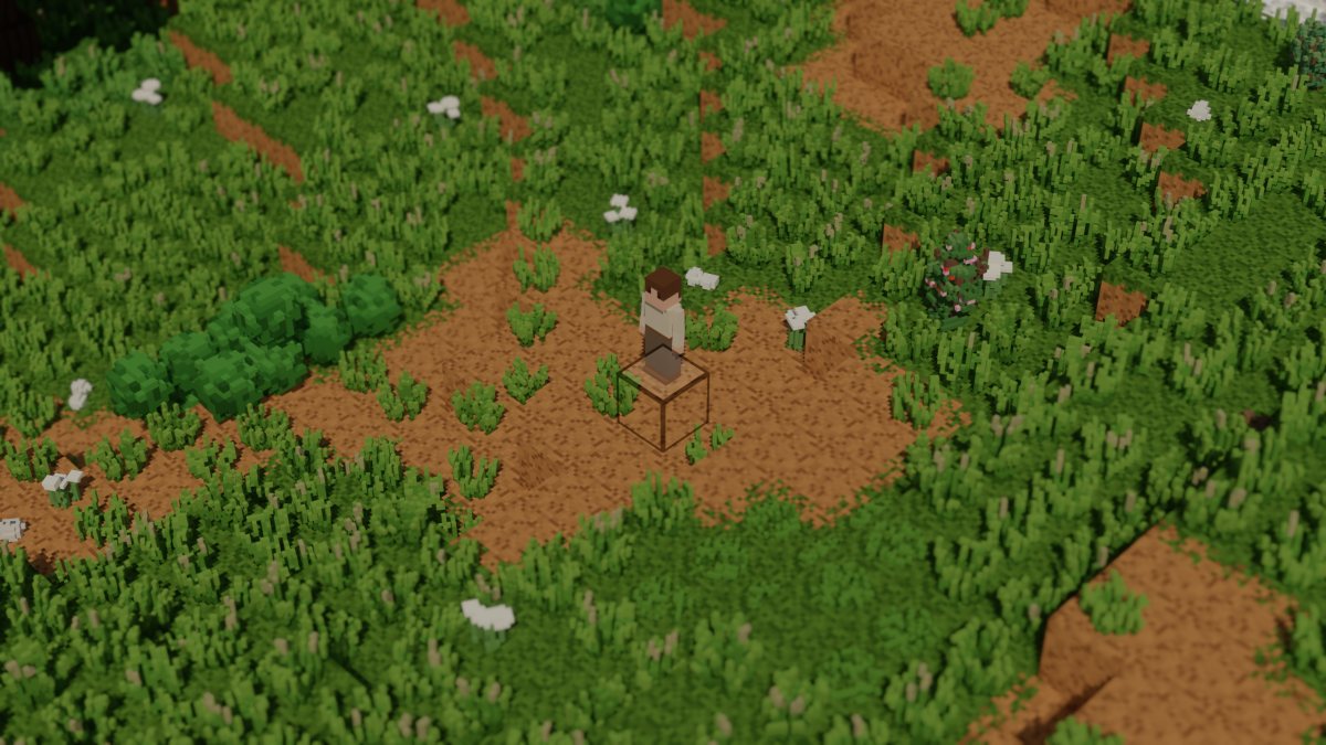 Open plains, grass and bare earth with white flowers